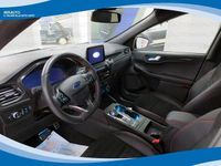 Usata Ford Kuga ST-Line X 225 CV (165 kW) 2020 Bianco(met.) SUV