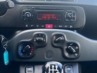 Usata Fiat Panda Easy 70 CV (51 kW) 2019 Utilitaria