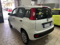 Usata Fiat Panda 70 CV (51 kW) 2020 Bianco Utilitaria