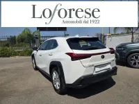 Usata Lexus UX 250h Business Edition 152 CV (111 kW) 2020 Bianco SUV