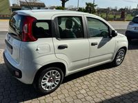 usata Fiat Panda 1.2 Easy 69cv