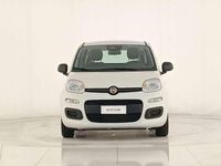 Usata Fiat Panda 69 CV (50 kW) 2025 Bianco gelato Utilitaria