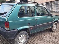 Usata Fiat Panda 4x4 Trekking 54 CV (39 kW) 2000 Verde Utilitaria