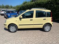 usata Fiat Panda 1.4 Dynamic Natural Power Metano/benzina