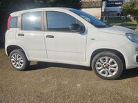 Usata Fiat Panda 85 CV (62 kW) 2020 Bianco Utilitaria