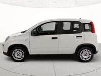Usata Fiat Panda S 70 CV (51 kW) 2024 Bianco Utilitaria