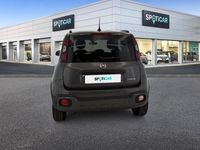 usata Fiat Panda Cross 1.0 FireFly 70cv S&S Hybrid