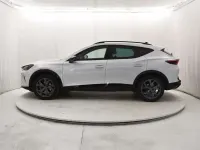 Usata Cupra Formentor 150 CV (110 kW) 2025 Glacial white SUV