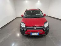 Usata Fiat Panda Cross Cross 70 CV (51 kW) 2025 Rosso Utilitaria