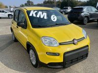 Usata Fiat Panda S 2024 Giallo(met.) Utilitaria