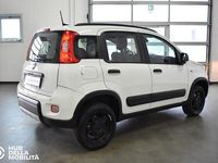 Usata Fiat Panda 4x4 Wild 86 CV (63 kW) 2022 Bianco Utilitaria