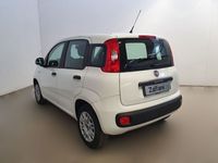 usata Fiat Panda 1.2 Easy NEOPATENTATI