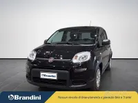 Usata Fiat Panda S 70 CV (51 kW) 2024 Nero Utilitaria