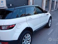 Usata Land Rover Range Rover evoque 150 CV (110 kW) 2016 Bianco SUV