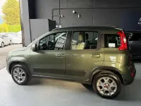 Usata Fiat Panda 4x4 86 CV (63 kW) 2013 Other Utilitaria