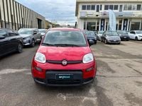 Usata Fiat Panda S 69 CV (50 kW) 2024 Rosso Utilitaria