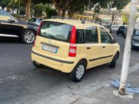 Usata Fiat Panda 60 CV (44 kW) 2009 Giallo Utilitaria
