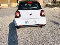 Usata Smart ForFour 71 CV (52 kW) 2017 Bianco Utilitaria