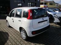 Nuova Fiat Panda S 69 CV (50 kW) 2025 Bianco Utilitaria