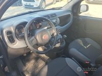 Usata Fiat Panda Easy 71 CV (52 kW) 2021 Grigio Utilitaria