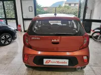 Usata Kia Picanto Urban 67 CV (49 kW) 2023 Arancione Utilitaria