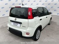 Usata Fiat Panda S 70 CV (51 kW) 2023 Bianco Utilitaria