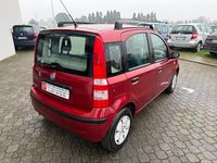 Usata Fiat Panda Active 54 CV (39 kW) 2005 Rosso Utilitaria