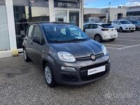 Usata Fiat Panda S 69 CV (50 kW) 2021 Grigio Berlina