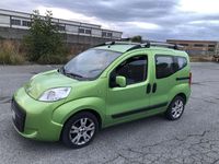 Usata Fiat Qubo Trekking 75 CV (55 kW) 2009 Verde Monovolume
