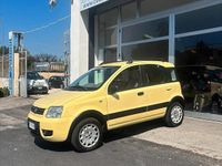 Usata Fiat Panda 4x4 Climbing 60 CV (44 kW) 2005 Giallo Utilitaria