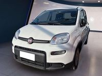 Usata Fiat Panda S 69 CV (50 kW) 2023 Bianco Utilitaria