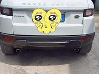 Usata Land Rover Range Rover evoque 2016 Bianco SUV