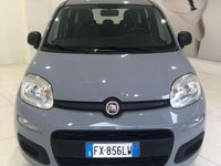 Usata Fiat Panda Easy 69 CV (50 kW) 2019 Grigio Utilitaria