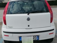 usata Fiat Punto Punto 1.2 16V 5 porte Emotion