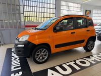 Usata Fiat Panda 4x4 Pop 80 CV (58 kW) 2017 Arancione Utilitaria