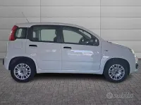 Usata Fiat Panda Easy 69 CV (50 kW) 2020 Bianco Utilitaria