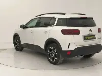 Usata Citroën C5 Aircross Shine 131 CV (96 kW) 2023 Bianco SUV