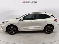 Usata Ford Kuga ST-Line 190 CV (139 kW) 2023 Bianco SUV