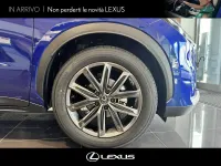 Nuova Lexus LBX 136 CV (100 kW) 2025 Nero SUV