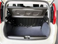 Usata Fiat Panda 70 CV (51 kW) 2024 Bianco Utilitaria