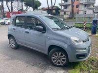 usata Fiat Panda Panda0.9 t.air t. natural power Easy 80cv