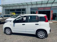 Usata Fiat Panda S 70 CV (51 kW) 2022 Bianco Utilitaria