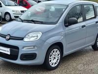 Usata Fiat Panda Easy 69 CV (50 kW) 2019 Grigio Utilitaria