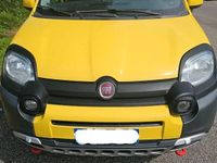 Usata Fiat Panda Cross Cross 95 CV (69 kW) 2016 Giallo Utilitaria