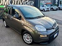 Usata Fiat Panda 69 CV (50 kW) 2023 Grigio Utilitaria