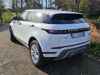 Usata Land Rover Range Rover evoque R-Dynamic 200 CV (147 kW) 2021 Bianco SUV