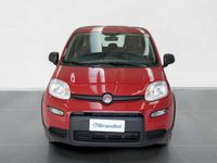 usata Fiat Panda 1.0 70cv hybrid