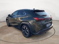 usata Lexus UX Hybrid 4WD Executive del 2019 usata a Caresanablot