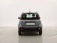 Usata Fiat Panda Cross Cross 71 CV (52 kW) 2022 Grigio Utilitaria