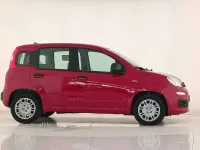 Nuova Fiat Panda Icon 69 CV (50 kW) 2025 Rosso passione pastello Utilitaria